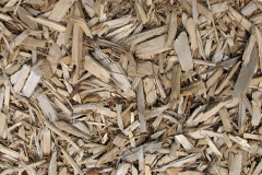 biomass boilers Landimore